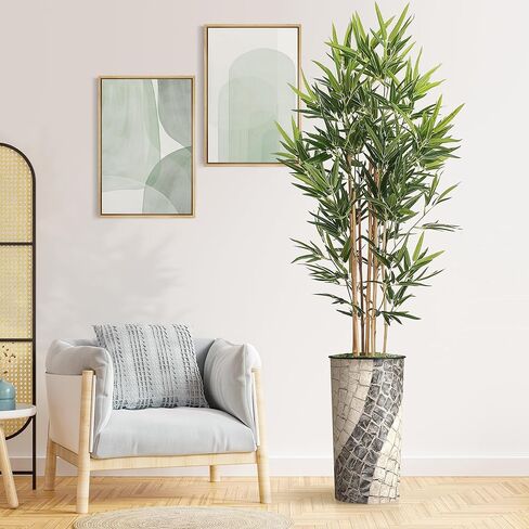شجرة اصطناعية من SIGNWIN في زارع بنمط هندسي، شجرة حرير شجرة Dracaena المزيفة لتزيين المنزل الداخلي والخارجي - بطول 66 بوصة بشكل عام (وعاء نباتي بالإضافة إلى شجرة) in Saudi Arabia
