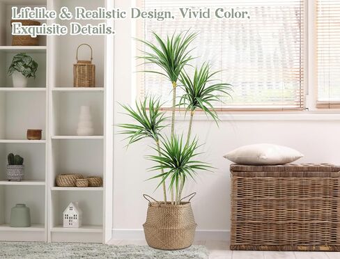 Jexine 5 أقدام Dracaena Marginata الاصطناعية، شجرة نبات Dracaena الاصطناعية الطويلة، نبات أرضي صناعي استوائي مع وعاء شجرة ديكور داخلية وخارجية لديكور المنزل والمكتب هدية الترحيب بالمنزل in Saudi Arabia