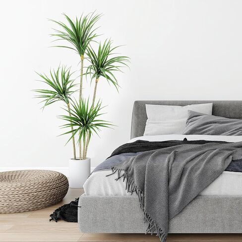 Jexine 5 أقدام Dracaena Marginata الاصطناعية، شجرة نبات Dracaena الاصطناعية الطويلة، نبات أرضي صناعي استوائي مع وعاء شجرة ديكور داخلية وخارجية لديكور المنزل والمكتب هدية الترحيب بالمنزل in Saudi Arabia