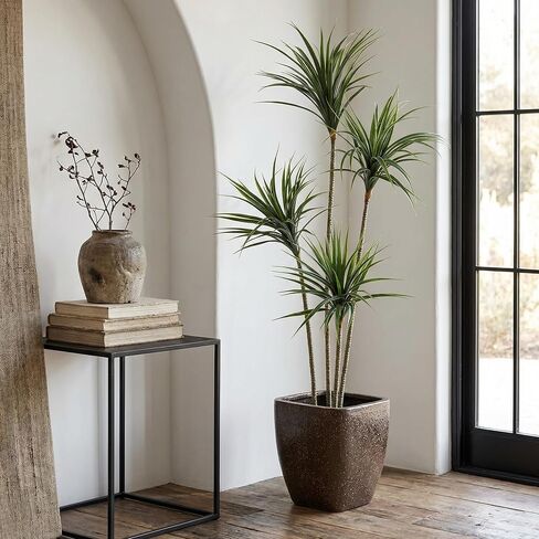 Jexine 5 أقدام Dracaena Marginata الاصطناعية، شجرة نبات Dracaena الاصطناعية الطويلة، نبات أرضي صناعي استوائي مع وعاء شجرة ديكور داخلية وخارجية لديكور المنزل والمكتب هدية الترحيب بالمنزل in Saudi Arabia