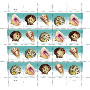 USPS Seashells Postcard Stamps - US Postage Card Stamps (2 Sheets of 20 Stamps) in Kuwait