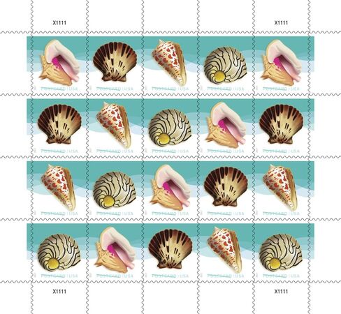 USPS Seashells Postcard Stamps - US Postage Card Stamps (2 Sheets of 20 Stamps) in Kuwait