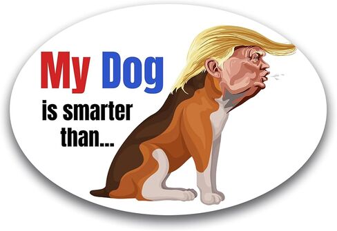 ملصق مغناطيسي مغناطيسي للسيارة Magnet Me Up My Cat is Smarter Than The President، بيضاوي مقاس 4 × 6 بوصات، مغناطيس ممتص للصدمات لمحبي القطط للسيارات والشاحنات وسيارات الدفع الرباعي، بيان مضحك ضد ترامب، صُنع في الولايات المتحدة الأمريكية in Kuwait