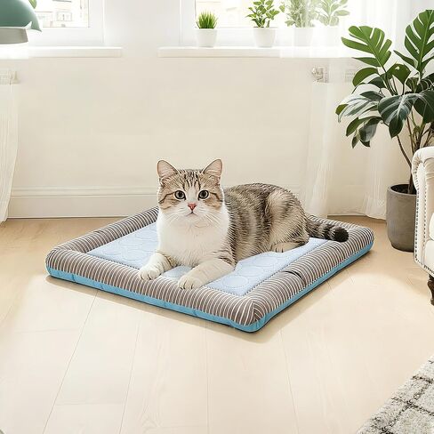 بطانية نوم ذاتية التبريد للحيوانات الأليفة قابلة للغسل في الصيف - لا حاجة للتجميد أو التبريد، حصيرة بيت الكلب مقاس 14 بوصة × 18 بوصة للكلاب الصغيرة المتوسطة والقطط البالغة in Kuwait