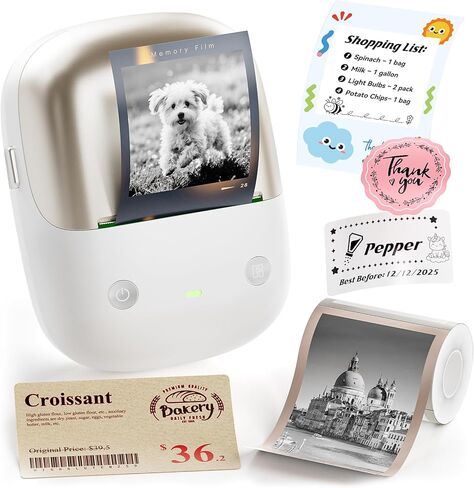 NIIMBOT B2 Pro Label Maker Machine, 300 DPI High Definition, Portable Thermal Label Printer with Fun APP for Photos, Scrapbook, Home,School Oragnization (Apple Green) in Saudi Arabia