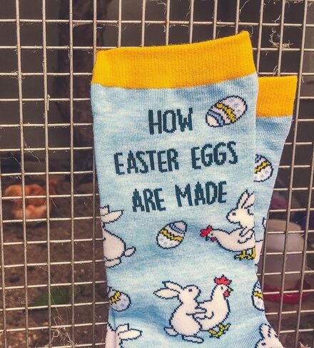 Crazy Dog T-Shirts Men's How Easter Eggs Are Made Socks Funny Easter Bunny Chicken Novelty Graphic Footwear Funny Gift for Casual Wear in Saudi Arabia