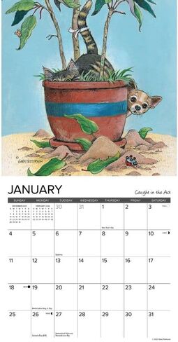Willow Creek Press, Paws and Claws 2026 Mini Wall Calendar by Gary Patterson, 7'' X 7'', 18-Month Calendar with Stapled Binding in Saudi Arabia