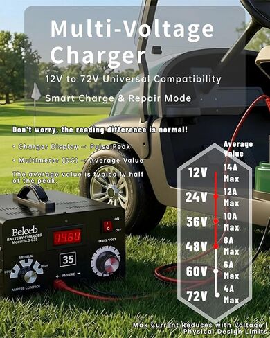 C35 Adjustable Battery Charger 12V 24V 36V 48V 60V 72V, Pulses of High-Voltage Battery Desulfator Maintainer with Smart Chip for Lead-Acid Lithium-ion Batteries in Kuwait