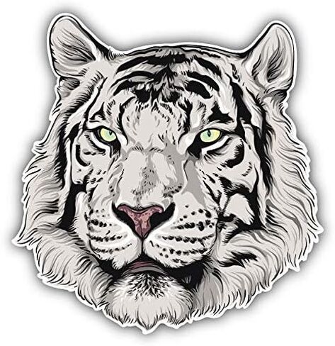 KW Vinyl Magnet White Tiger Realistic Head Animal Truck Car Magnet Bumper Sticker Magnetic 5" in Saudi Arabia