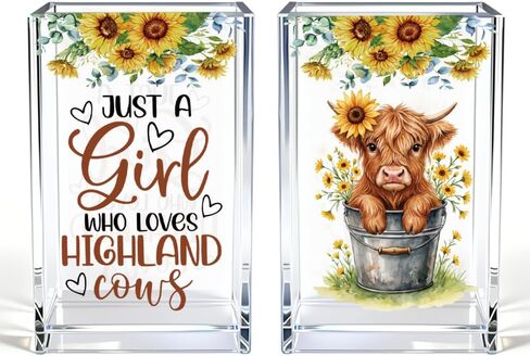 Just A Girl Who Loves Highland Cows Acrylic Cosmetic Pen Holder Cup Set 2, Cute Animal Pencil Holder Desk Organizer, Funny Desk Accessories, Highland Cow Lover Gifts for Women Coworkers Besties in Kuwait