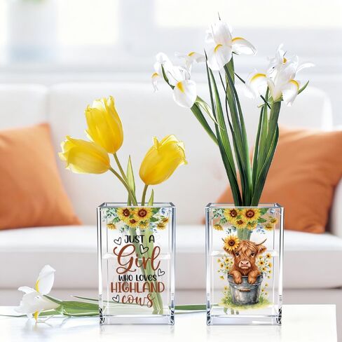 Just A Girl Who Loves Highland Cows Acrylic Cosmetic Pen Holder Cup Set 2, Cute Animal Pencil Holder Desk Organizer, Funny Desk Accessories, Highland Cow Lover Gifts for Women Coworkers Besties in Kuwait