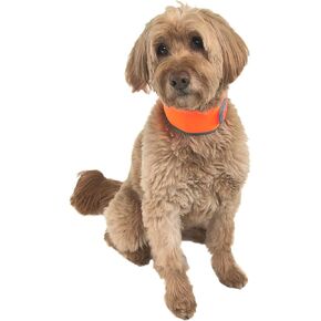 Hi-Vis Dog Cooling Collar - Orange Reflective Re-Freezable Ice Collar (Small)