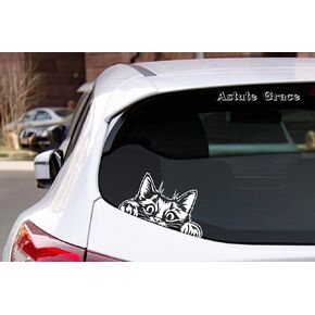 Curious Peeking Kitty Cat Die Cut Decal Sticker for Car Window Car Bumper Truck Laptop Computer Skateboard (Black)