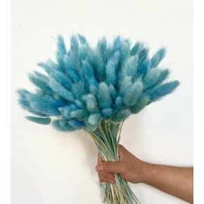 60 Pieces Sky Blue Bunny Tails Dried Flowers, 17 inches, Natural Rabbit Tail Grass Boho Lagurus Ovatus Eternal Florals for Wedding, Home Centerpieces Decoration, Flower Arrangements, Photo Props