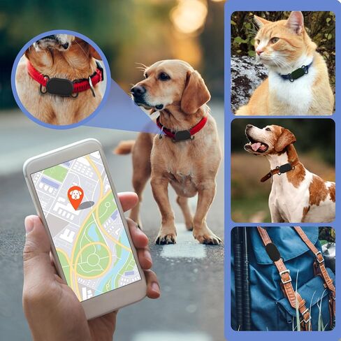 2 Pack Dog Collar Holder for SmartTag2, Waterproof Silicone Case for Pet Cat, Anti-Lost Scratch Resistant Protective Cover Accessory for Smart tag2 (Blue,Pink) in Kuwait