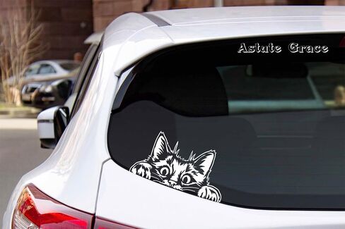 Curious Peeking Kitty Cat Die Cut Decal Sticker for Car Window Car Bumper Truck Laptop Computer Skateboard (Black) in Saudi Arabia
