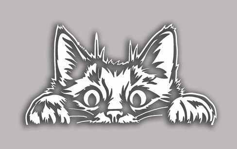 Curious Peeking Kitty Cat Die Cut Decal Sticker for Car Window Car Bumper Truck Laptop Computer Skateboard (Black) in Saudi Arabia