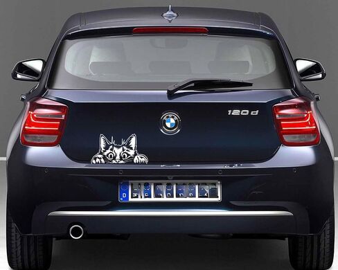 Curious Peeking Kitty Cat Die Cut Decal Sticker for Car Window Car Bumper Truck Laptop Computer Skateboard (Black) in Saudi Arabia
