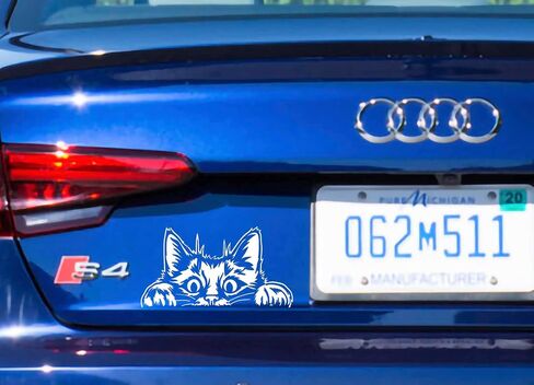 Curious Peeking Kitty Cat Die Cut Decal Sticker for Car Window Car Bumper Truck Laptop Computer Skateboard (Black) in Saudi Arabia