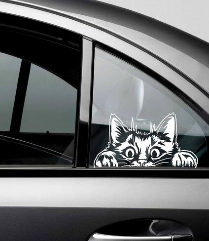 Curious Peeking Kitty Cat Die Cut Decal Sticker for Car Window Car Bumper Truck Laptop Computer Skateboard (Black) in Saudi Arabia
