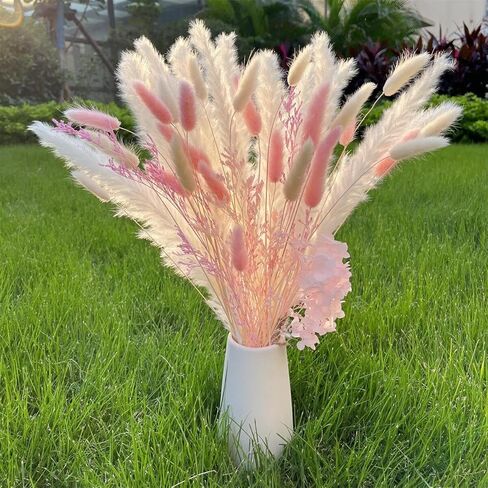 Natural Dried Pampas Grass Brown Pampas Boho Home Decor Bouquet White Pampas Grass Dried Flowers Bouquet for Home, Rustic Party (WZH01) in Kuwait