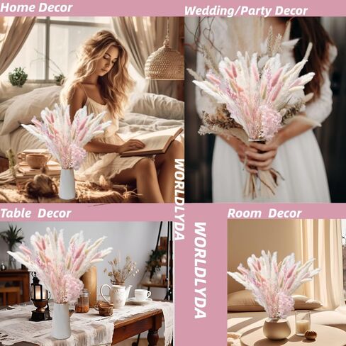 Natural Dried Pampas Grass Brown Pampas Boho Home Decor Bouquet White Pampas Grass Dried Flowers Bouquet for Home, Rustic Party (WZH01) in Kuwait