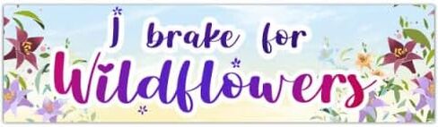 I Brake For Wildflowers Cute Environmental Hippy Pressed Flowers Bumper Sticker For Car [00436] in Saudi Arabia