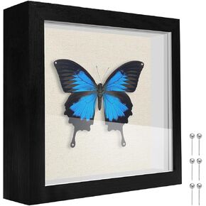 8x10 Shadow Box Frame Display Case with Soft Linen Back, Display Case Box for Memorabilia, 3D Items, Wedding Memories, Crafts, Tickets and Photos (Black, 8x10) in Kuwait