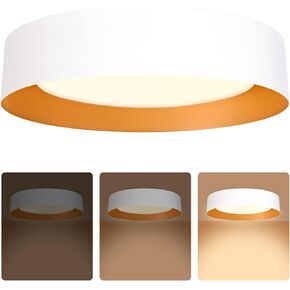 Bargeni LED Ceiling Light Fixture,12.5 inch Flush Mount Light Fixture,Matte White with Gold Inside,Dimmable 3000K/Warm White/18W(100w Equiv.),Outdoor Lighting Fixtures Ceiling for Bedroom and Hallway in Kuwait