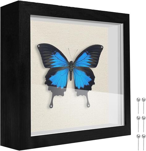 8x10 Shadow Box Frame Display Case with Soft Linen Back, Display Case Box for Memorabilia, 3D Items, Wedding Memories, Crafts, Tickets and Photos (Black, 8x10) in Kuwait