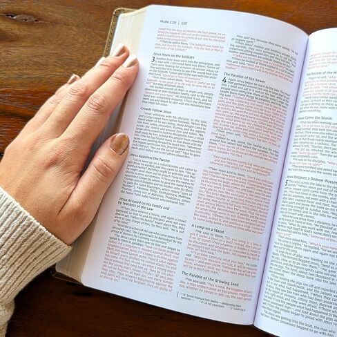 Farm and Posh Personalized NIV Premium Gift Bible – Brown Leathersoft Faux Leather | Custom Name Engraved | New International Version Red Letter Edition with Concordance & Presentation Page in Saudi Arabia