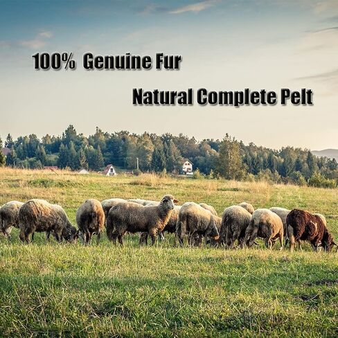 Real Genuine Sheepskin Seat Covers for Cars SUV Trucks Van RV Front Seats Sheepskin Car Seat Covers Sheepskin Automotive Seat Covers Fuzzy Fleece Fur Car Seat Covers Universal Gray (1 Piece) in Kuwait