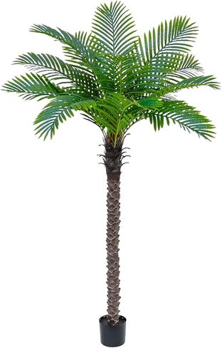 شجرة نخيل العنقاء الاصطناعية: شجرة نخيل جوز الهند الصناعية بطول 6 أقدام، نبات حريري استوائي ساجو كبير، نبات نخيل لحاء واقعي منحوت يدويًا للمنزل الساحلي، داخلي وخارجي بجانب حمام السباحة، مكتب، حديقة، فناء ديكور in Kuwait