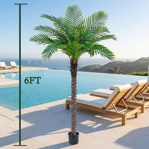 شجرة نخيل العنقاء الاصطناعية: شجرة نخيل جوز الهند الصناعية بطول 6 أقدام، نبات حريري استوائي ساجو كبير، نبات نخيل لحاء واقعي منحوت يدويًا للمنزل الساحلي، داخلي وخارجي بجانب حمام السباحة، مكتب، حديقة، فناء ديكور in Kuwait