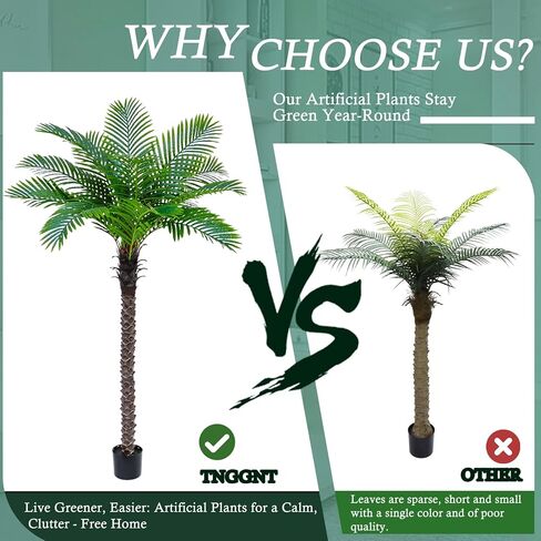 شجرة نخيل العنقاء الاصطناعية: شجرة نخيل جوز الهند الصناعية بطول 6 أقدام، نبات حريري استوائي ساجو كبير، نبات نخيل لحاء واقعي منحوت يدويًا للمنزل الساحلي، داخلي وخارجي بجانب حمام السباحة، مكتب، حديقة، فناء ديكور in Kuwait