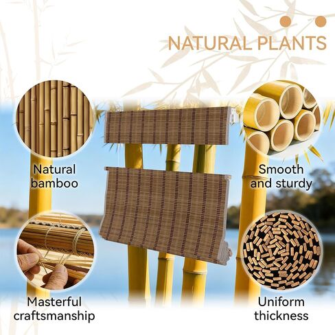 Top Down Bottom Up No Drill Cordless Bamboo Roman Shades, Room Darkening Blinds for Interior Windows, Blackout Window Treatment, Bamboo Blinds for Windows, LM30BM102B,34" W x 36" H in Saudi Arabia