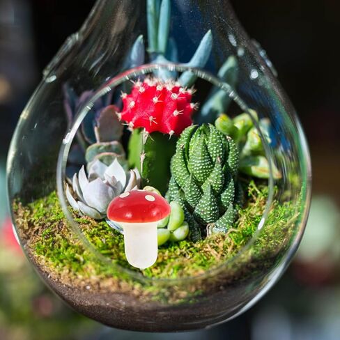 PRETYZOOM 12pcs Mini Red Mushroom Picks Mushroom Cake Decorations Cupcake Toppers Christmas Fairy Garden Micro Landscape Decorations in Kuwait