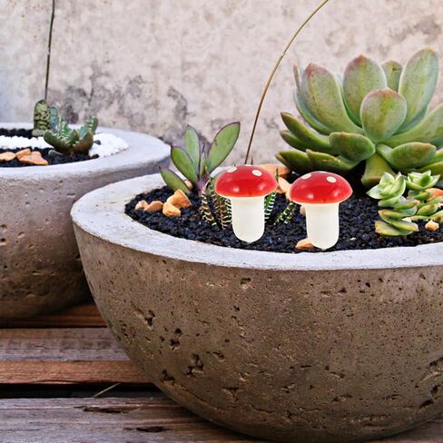 PRETYZOOM 12pcs Mini Red Mushroom Picks Mushroom Cake Decorations Cupcake Toppers Christmas Fairy Garden Micro Landscape Decorations in Kuwait