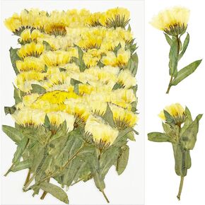 Cayway 64 PCS Dried Pressed Flowers for Resin, Red and Black Real Pressed Flowers, Dry Leaves Natural Dried Pressed Leaves for Christmas Art Crafts Resin Scrapbook (Red-Black-1) in Kuwait