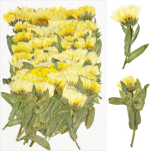 Cayway 64 PCS Dried Pressed Flowers for Resin, Red and Black Real Pressed Flowers, Dry Leaves Natural Dried Pressed Leaves for Christmas Art Crafts Resin Scrapbook (Red-Black-1) in Kuwait