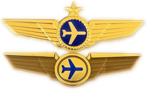 دبابيس أجنحة طيار الخطوط الجوية وشارات أجنحة الطيران الصغيرة in Kuwait