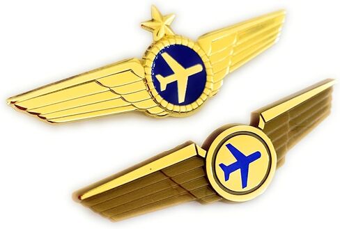 دبابيس أجنحة طيار الخطوط الجوية وشارات أجنحة الطيران الصغيرة in Kuwait