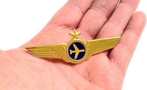 دبابيس أجنحة طيار الخطوط الجوية وشارات أجنحة الطيران الصغيرة in Kuwait