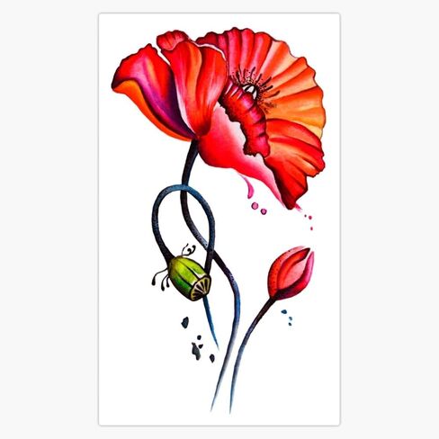 Red Poppies Flower Pattern, Red Orange Poppies, California poppy flower watercolor painting Window Water Bottle Bumper Sticker Decal 5" in Saudi Arabia