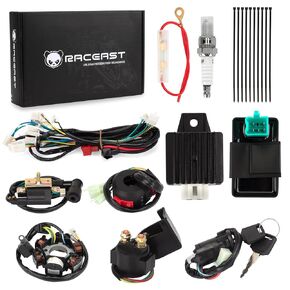 Complete Wiring Harness Kit for Tao tao 50cc 70cc 90cc 110cc 125cc ATV Quad Electric 4 Wheeler Stroke Parts Go Kart with 6-Pole Stator CDI Spark Plug Relay in Kuwait