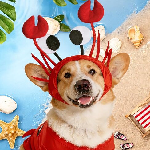 Funny Crab Hat,3D Lobster Seafood Hats Crazy Cap Day Costume Accessories for Pets Adults Dress Up Themed Party Supplies,Halloween in Kuwait