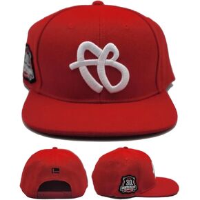 FUBU New 30th Anniversary Limited Edition Logo Red White Era Snapback Hat Cap in Kuwait