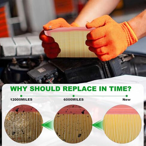 فلتر هواء لمقصورة المحرك المشط لسيارة لينكولن كورسير هايبرد 2.5L 2026 2025 2024 02023 2022 2021 in Kuwait