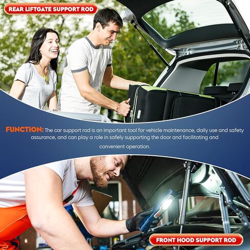 Rear Trunk Lift Supports Gas Springs Shocks Struts for 2000-2005 Impala 1999-2005 Monte Carlo 1997-2003 Pontiac Grand Prix for 4119 PM2001 SG430021 SG430024 Set of 2 in Saudi Arabia