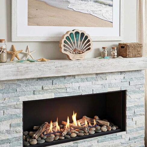 Seashell Display Case Wooden Sea Shell Holder with Lights and Window for Sea Glass, Starfish, Shark Tooth Collection Shadow Box Beach Home Decor Birthday Graduation Ocean Themed Gift in Saudi Arabia